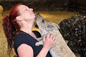 Mangalitza pig, me and my pigs