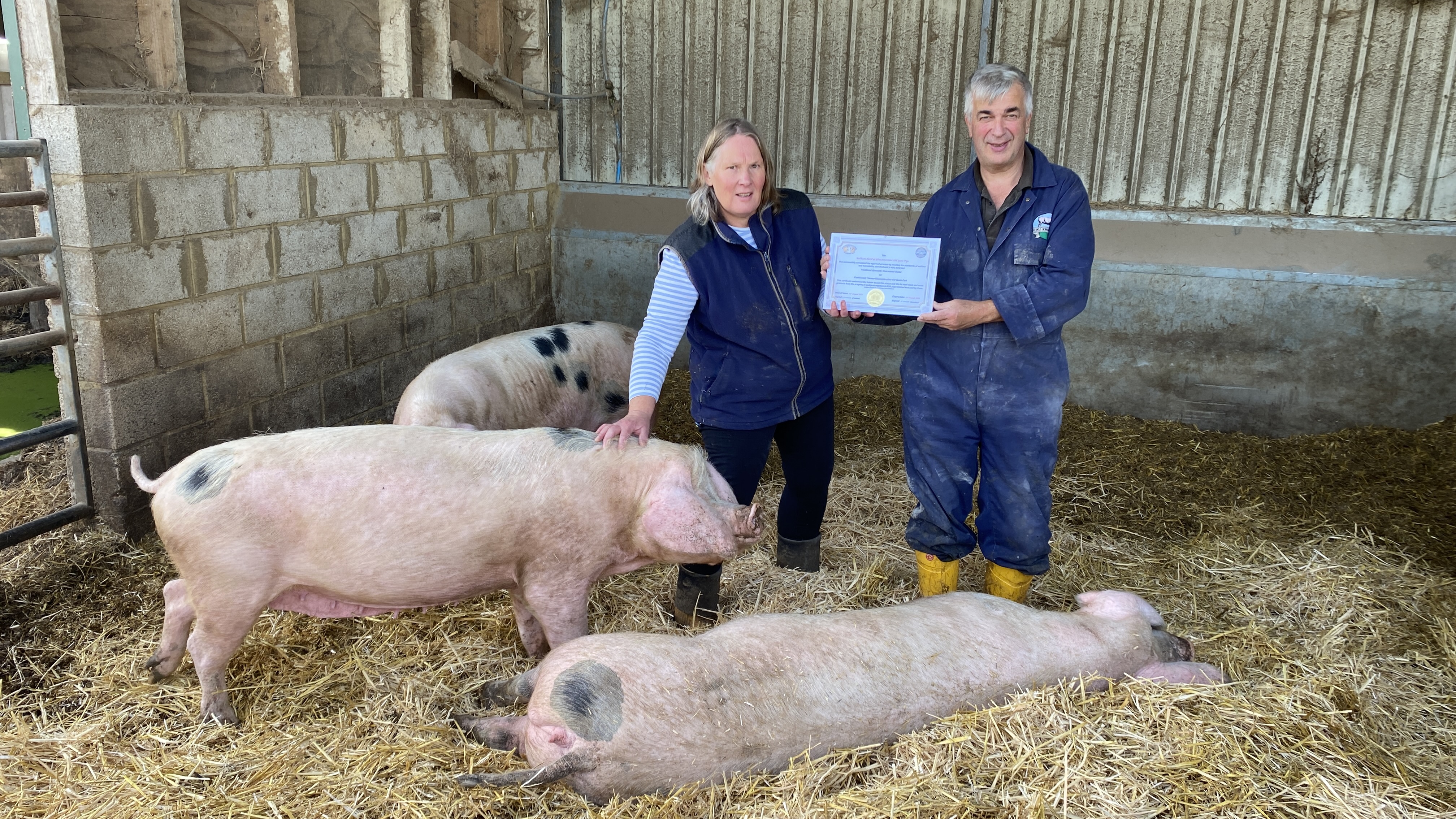 The Animal Health and Welfare Review is a win / win for Gloucestershire Old Spots breeders Guy and Melany Kiddy.