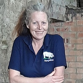Berkshire pig